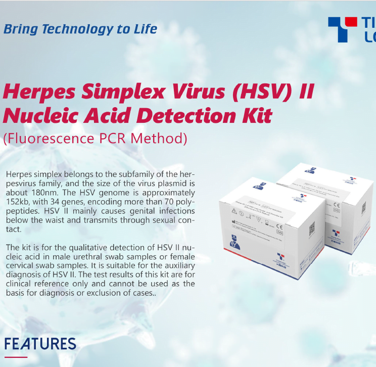Kit PCR phát hiện Herpes Simplex Virus – HSV II