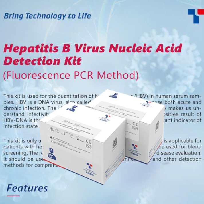 Kit phát hiện PCR virus viêm gan B – HBV – P101H