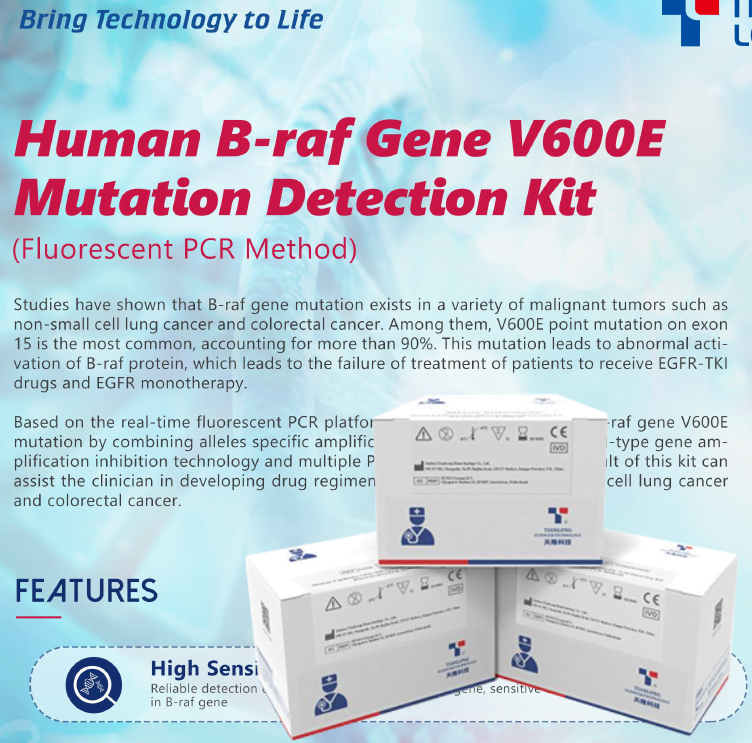 Kit phát hiện đột biến gen B-raf Gene V600E của con người