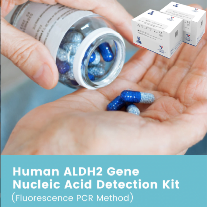 Kit axit nucleic gen Human ALDH2 ở Người