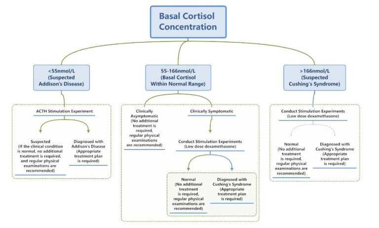 Chẩn đoán chính xác hội chứng Addison và Cushing—Cortisol